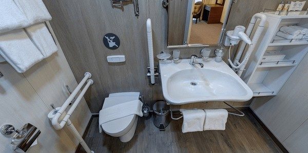 Полулюкс для маломобильных пассажиров (2+1) на теплоходе «Мустай Карим» — душевая зона с поручнями и сиденьем